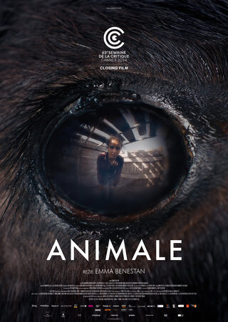 Double Feature: Animale & Titan