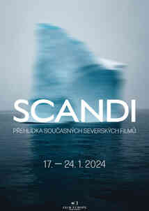 Scandi Best Film Winner