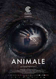 Animale