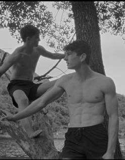 Boys in Focus