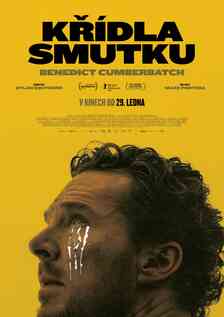 The Thing with Feathers